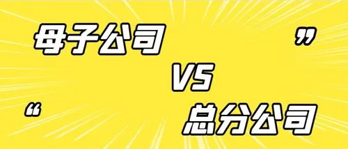 分公司与子公司的区别？